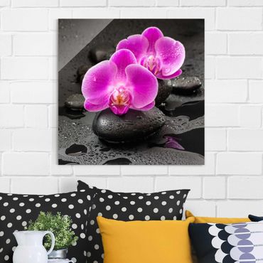 Tableau en verre - Pink Orchid Flower On Stones With Drops
