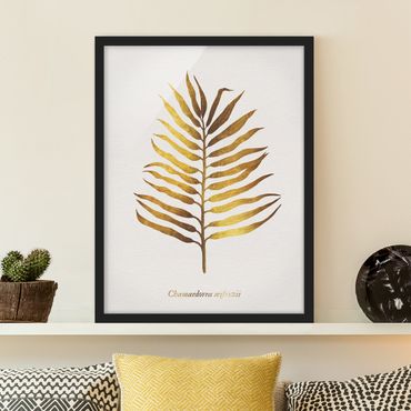 Poster encadré - Gold - Palm Leaf II