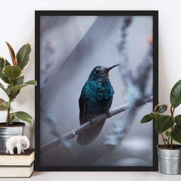 Poster encadré - Hummingbird In Winter