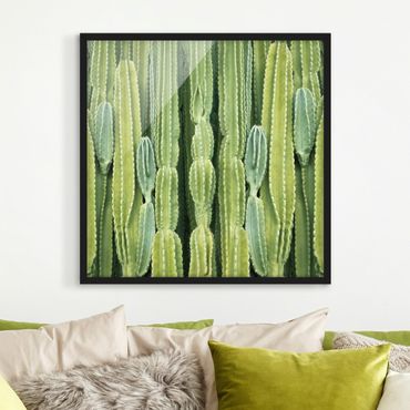 Poster encadré - Cactus Wall