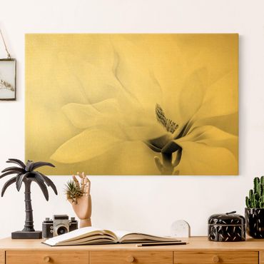 Tableau sur toile or - Delicate Magnolia Flowers Black and White