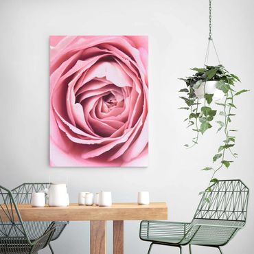 Tableau en verre - Pink Rose Blossom