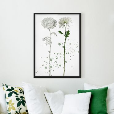 Poster encadré - Botanical Watercolour - Dandelion