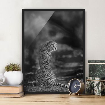 Poster encadré - Cheetah In The Wildness
