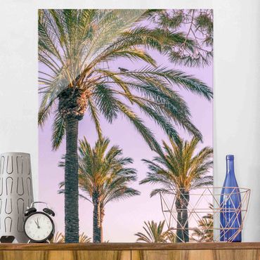 Tableau en verre - Palm Trees At Sunset