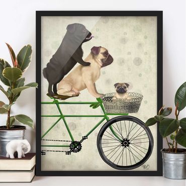 Poster encadré - Cycling - Pugs On Bike