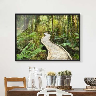 Poster encadré - Path In The Jungle