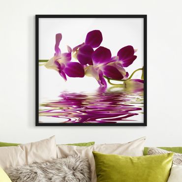 Poster encadré - Pink Orchid Waters