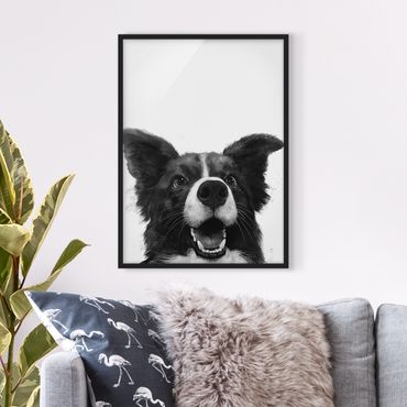 Poster encadré - Illustration Dog Border Collie Black And White Painting