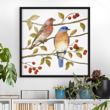 Poster encadré - Birds And Berries - Bluebird