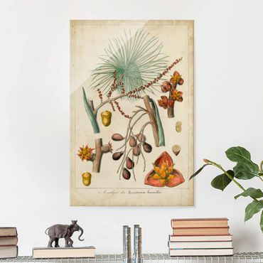 Tableau en verre - Vintage Board Exotic Palms III