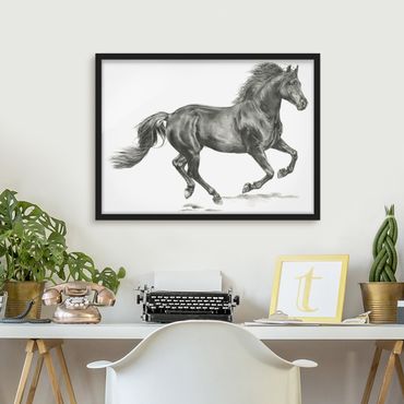 Poster encadré - Wild Horse Trial - Stallion