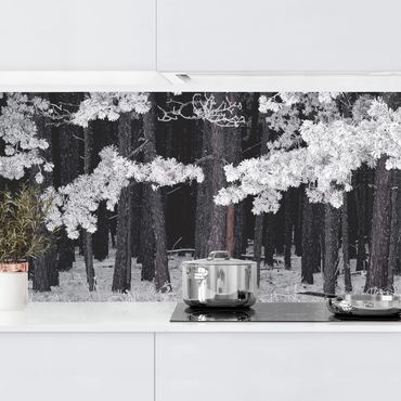 Revêtement mural cuisine - Forest With Hoarfrost In Austria