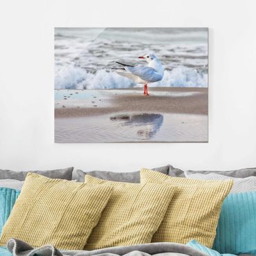 Tableau en verre - Seagull On The Beach In Front Of The Sea