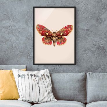 Poster encadré - Vintage Moth