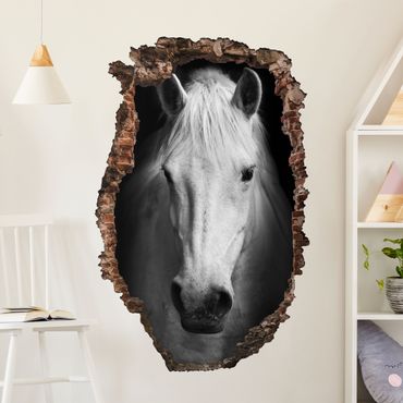 Sticker mural - Dream of a horse