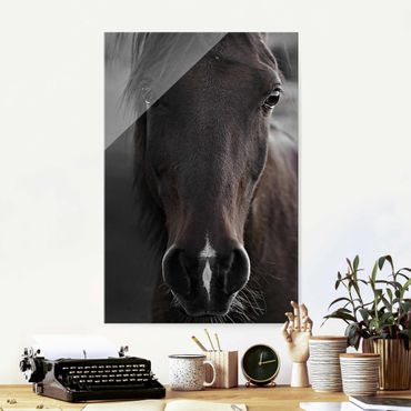 Glass print - Dark Horse
