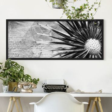 Poster encadré - Dandelion Black & White