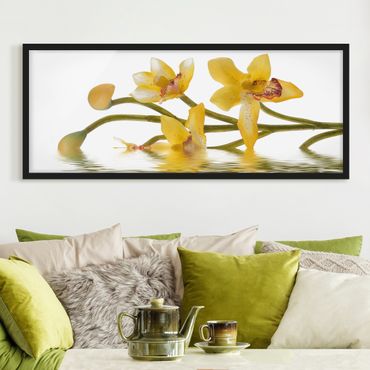 Poster encadré - Saffron Orchid Waters