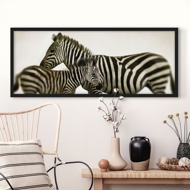 Poster encadré - Zebra Couple