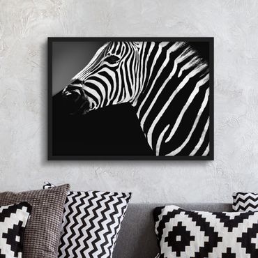 Poster encadré - Zebra Safari Art