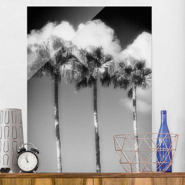 Tableau en verre - Palm Trees Against The Sky Black And White