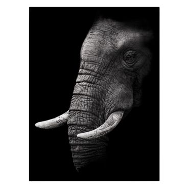 Impression sur toile - Dark Elephant Portrait