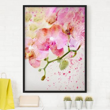 Poster encadré - Watercolour Flowers Orchids