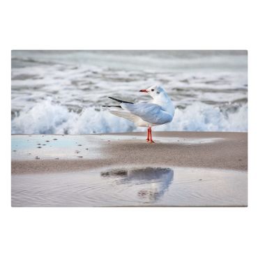 Impression sur toile - Seagull On The Beach In Front Of The Sea
