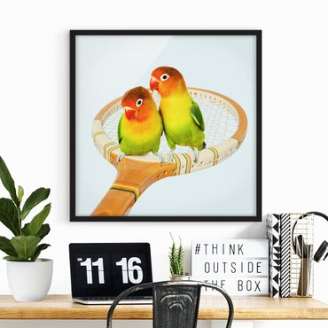 Poster encadré - Tennis With Birds