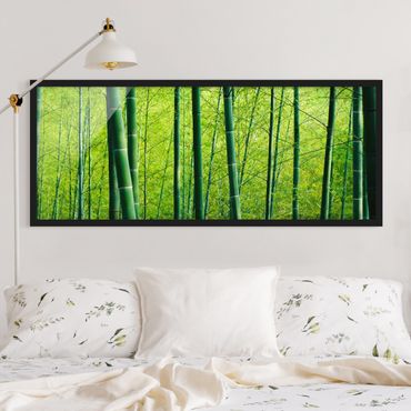 Poster encadré - Bamboo Forest