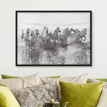 Poster encadré - White Horses In The Ocean