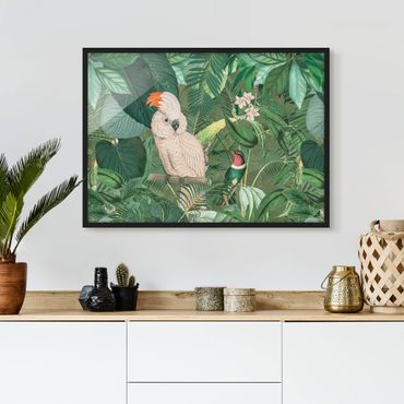 Poster encadré - Vintage Collage - Kakadu And Hummingbird