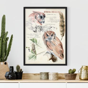 Poster encadré - Wilderness Journal - Owl