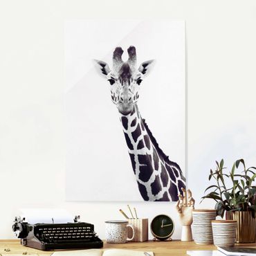 Glass print - Giraffe Portrait In Black And White