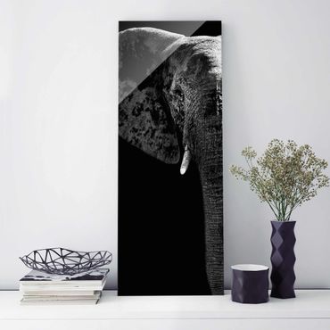 Tableau en verre - African Elephant black & white