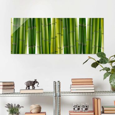 Tableau en verre - Bamboo Plants