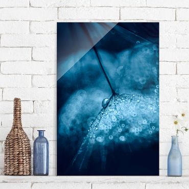 Tableau en verre - Blue Dandelion In The Rain