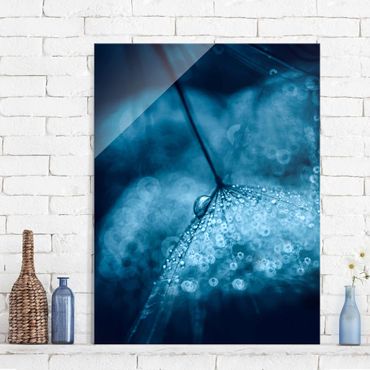 Tableau en verre - Blue Dandelion In The Rain
