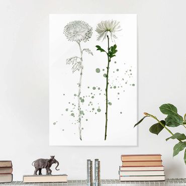 Tableau en verre - Botanical Watercolour - Dandelion