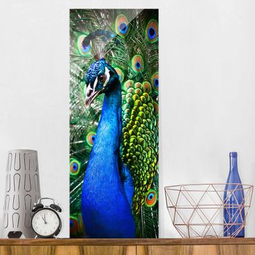 Tableau en verre - Noble Peacock
