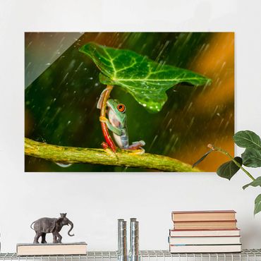 Tableau en verre - Frog In The Rain