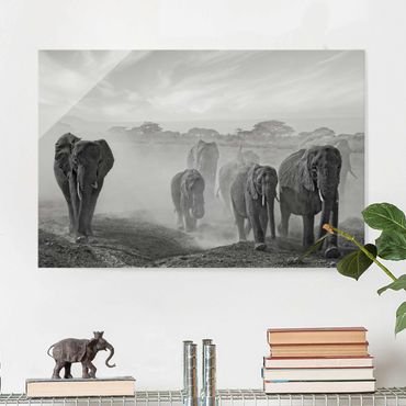 Tableau en verre - Herd Of Elephants