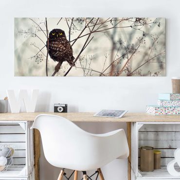 Tableau en verre - Owl In The Winter