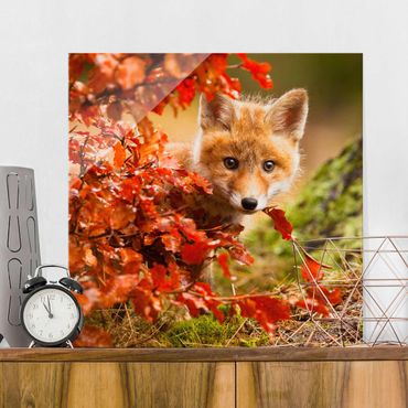 Tableau en verre - Fox In Autumn