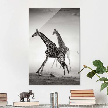 Tableau en verre - Giraffe Hunt