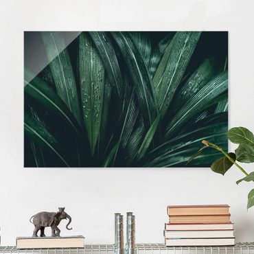 Tableau en verre - Green Palm Leaves