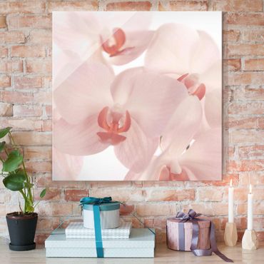 Tableau en verre - Bright Orchid Flower Wallpaper - Svelte Orchids