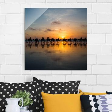 Tableau en verre - Camels in the sunset