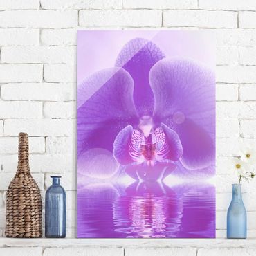 Tableau en verre - Purple Orchid On Water